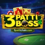3pattiboss