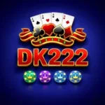 DK222 Game