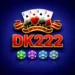 DK222 Game