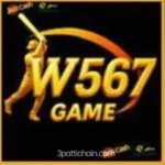 W567 Game